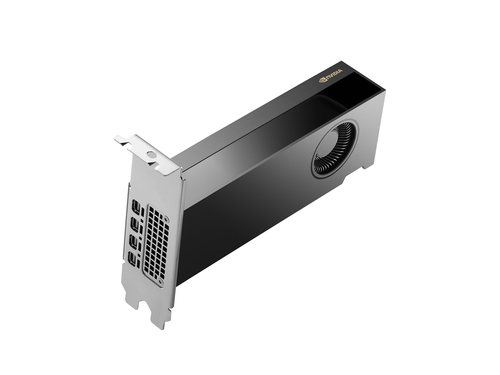 NVIDIA RTX 2000 Ada 16 GB